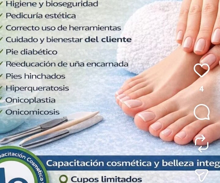 Cursos y servicios