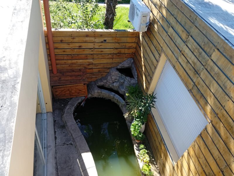 Diseño y Revestimiento de Patio Interno con Estanque y Cascada